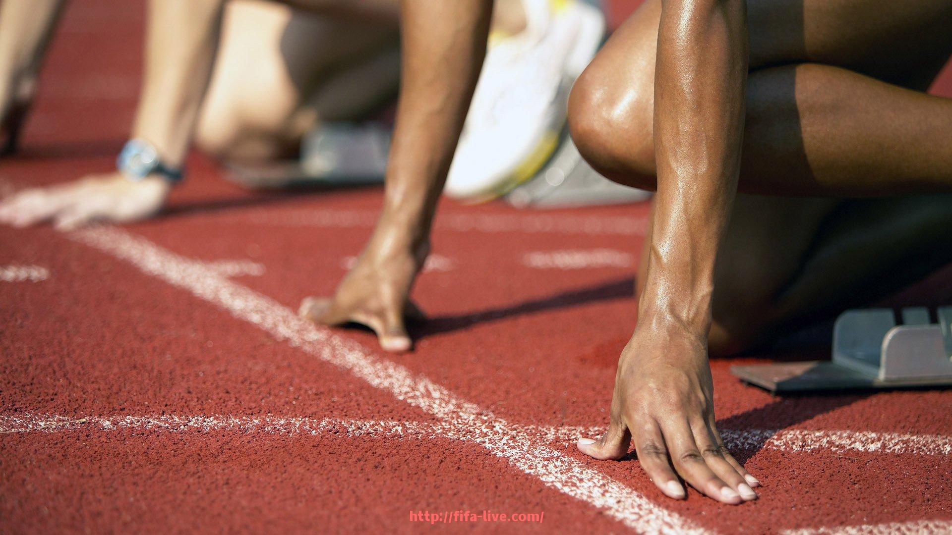 世俱杯直播-奥克兰城球迷支持现场实录,洋溢着纯粹足球热爱